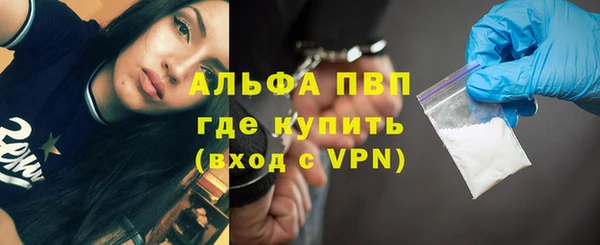 гидра Снежногорск