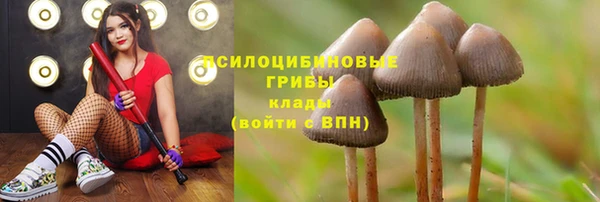 первитин Белоозёрский